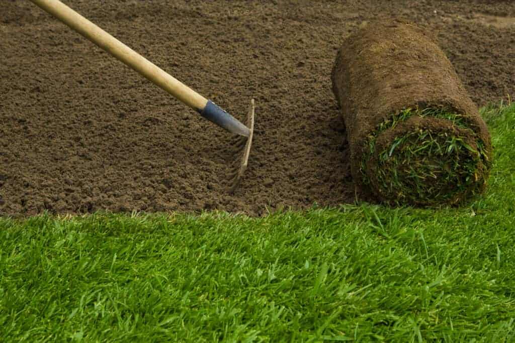 Install synthetic turf