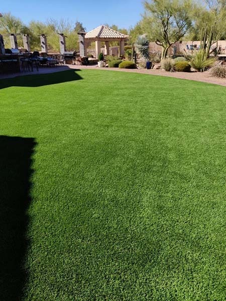 Clean Turf-2