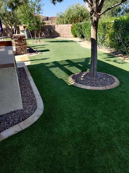 Clean Turf-3