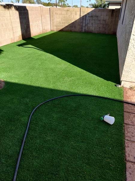 Clean Turf-4